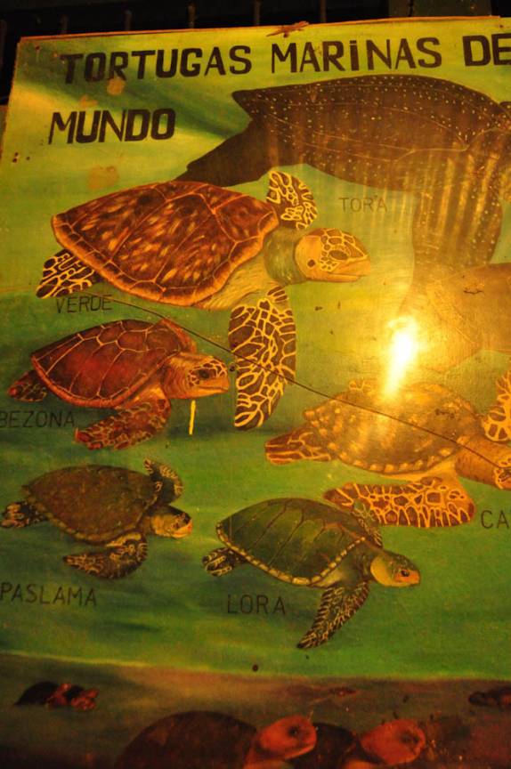 Placa informativa na Reserva del Flor, em San Juan del Sur, na Nicarágua